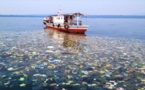 García-Herráiz: Mediterráno pronto tendrá tantos peces como plástico