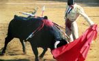 El propietario de una plaza : “prohibir los toros sería limitar la libertad individual”