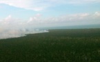 Gobierno de Nicaragua anuncia que acabó incendio en reserva biológica