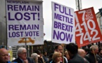 Grupos anti "Brexit" lanzan campaña por "Voto del Pueblo"