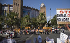 Corridas de toros en Cataluña: preocupación ante una posible prohibición