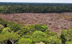 Destrucción de ecosistemas agrava inundaciones mortíferas