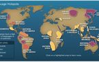 Lingüistas encuentran lengua en extinción en India: el koro