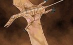 Los pterosaurios prehistóricos volaban bien, pero no con viento fuerte