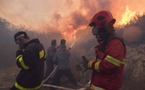 Intensos esfuerzos para contener incendio forestal al norte de Israel