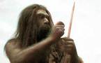 Hombre de Neandertal cocinaba y comía verduras como el hombre moderno