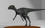 Hallan en Argentina fósil de nuevo "dinosaurio del alba"