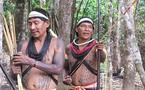 Survival advierte que tribus aisladas podrían perder al 50% de su población