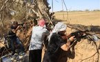 Los rebeldes libios progresan en el camino a Trípoli
