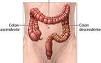 Japón: una cápsula endoscópica autopropulsada para el estómago y el colon
