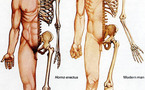 Hombre moderno nunca coexistió con su antepasado Homo erectus (científicos)