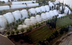 Palestinos denuncian plan de viviendas en colonias como desaire al Cuarteto