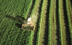 Bruselas fuerza a los agricultores europeos a defender el medio ambiente