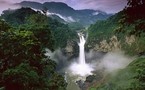Ecuador mantiene plan para no explotar crudo en parque amazónico Yasuní