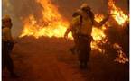 Un muerto y casi 23.000 hectáreas arrasadas en incendios en el sur de Chile