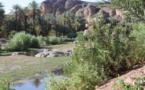 Oasis de Errachidia en Marruecos en peligro por sobre explotación del agua