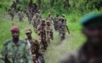 Los rebeldes de la RDC toman un puesto fronterizo, muere un casco azul