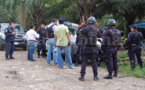 La palma africana motoriza conflicto de tierras en Honduras