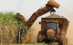 Bruselas endurece su política en materia de biocarburantes