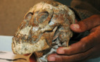 Ancestro humano andaba como hombre pero trepaba a los árboles como el mono