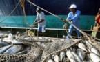 ONU quiere combatir sobreexplotación de océanos para garantizar alimentos