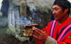 Bolivia busca certificar cualidades medicinales de una treintena de plantas