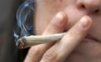 Uruguay lanza su proyecto de ley de legalización de marihuana