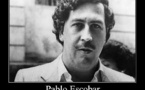 Empieza el rodaje de "Paradise Lost" sobre Pablo Escobar, interpretado por Benicio del Toro