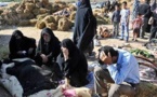 Fuerte sismo en Irán deja al menos 30 muertos y 800 heridos