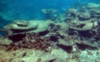 Australia reconoce oficialmente degradación de Gran Barrera de Coral
