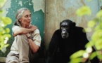 Jane Goodall: China despoja a África como hicieron los colonizadores europeos