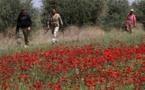 Ejército sirio y milicias del Hezbolá libanés lanzan ofensiva contra los rebeldes al norte de Damasco