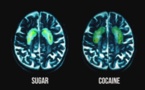 Documental denuncia que lobby alimentario perjudica salud de estadounidenses