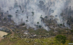 Brasil captura a ocho miembros de la mayor banda deforestadora de la Amazonía