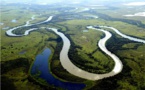 El Pantanal de Brasil, un paraíso escondido de fauna salvaje