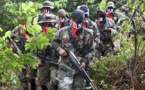 Gobierno colombiano reunió en Cuba a guerrilla FARC y ELN, revela experto