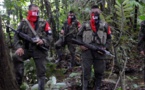 Colombia: guerrillas FARC y ELN harán procesos de paz separados