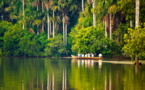 Fiebre del oro causa un desastre ecológico en la Amazonía