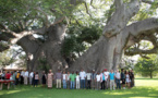 El secreto de la vejez de los baobabs explicado por su cavidad