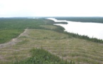 Indígenas de Canadá en lucha para salvar el bosque boreal