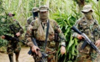 Guerrilla FARC pide plan de acción contra paramilitares antes de firmar paz