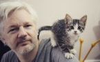 Assange: "El Watergate es una ilusión diseñada por Hollywood"
