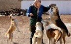 Irán contra los perros, símbolo de la "vulgar cultura occidental"