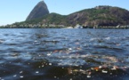 Bahía de Rio no será descontaminada ni en 25 años, dice secretario de Medio Ambiente