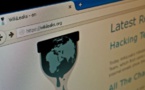 Autoridades turcas bloquean acceso al sitio internauta WikiLeaks