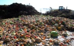 Ideas verdes en Sao Paulo: cambio basura por huertos