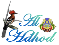 Hdhod - Spain Hdhod - Spain